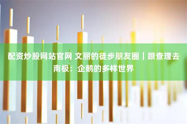 配资炒股网站官网 文丽的徒步朋友圈｜跟查理去南极：企鹅的多样世界